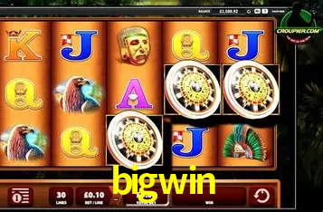 A Experiência Imersiva dos Cassinos Ao Vivo no bigwin