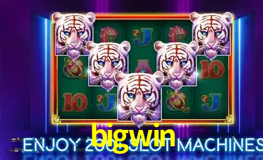 APP oficial da bigwin para mobile